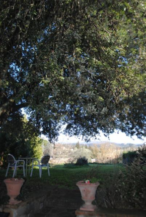 Fattoria di Malavolta